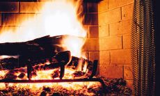 火命做什么行业比较旺 适合做什么生意