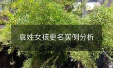 袁姓女孩更名实例分析