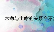 木命与土命的关系合不合财