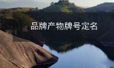 品牌产物牌号定名