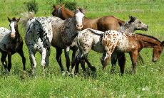 在感情上相当专一非常懂得珍惜爱人的三大星座