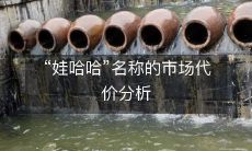 “娃哈哈”名称的市场代价分析