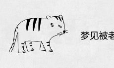 梦见被老虎追咬是什么意思