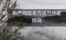 新产物起名方法与技能揭晓