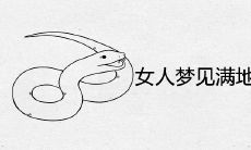 女人梦见满地都是蛇在爬代表着什么寓意