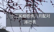 十二属相感情八月配对排行表