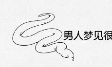 男人梦见很多蛇是什么预兆