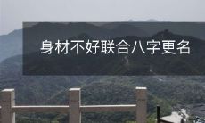 身材不好联合八字更名