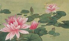 为什么新娘的捧花不能要 接捧花后高情商致辞