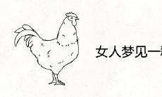 女人梦见一群鸡好不好 代表着什么寓意