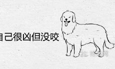 梦见狗冲自己很凶但没咬有什么预兆