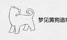 梦见黄狗追咬是吉兆吗 代表着什么意思