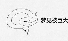 梦见被巨大的大蛇追赶是什么预兆