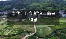当代时时创新企业命名构思