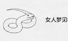 女人梦见很多小蛇是什么意思