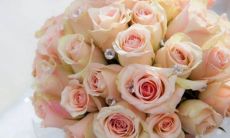 2023兔年三月最佳结婚黄道吉日 结婚好日子查询