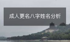 成人更名八字姓名分析