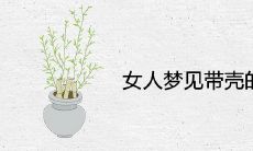 女人梦见带壳的生花生是什么兆头