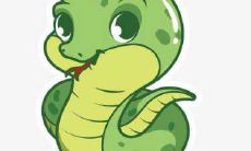 生肖蛇应注意的五大风水禁忌