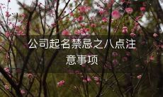 公司起名禁忌之八点注意事项