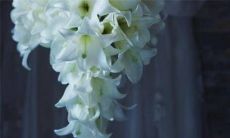 2023年农历二月十九结婚好吗 万年历查询结婚吉日