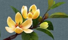 2023年2月25日是动土黄道吉日吗 这天建房合不合适