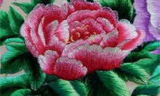 2023年2月20日适合动土吗 今日日子好不好