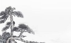 2023年2月28日可以动土吗 是黄道吉日吗