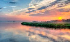 童子是什么意思 童子怎么查