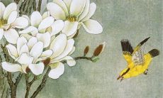 2023年2月24日开工动土吉利吗 老黄历查询