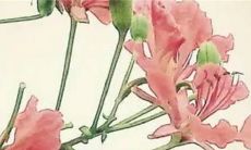 2023年2月21日动土好不好 建房开工合不合适