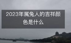 2023年属兔人的吉祥颜色是什么