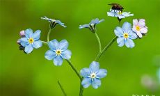 食伤是儿女 什么八字子孙后代优秀