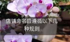 店铺命名应遵循以下几种规则