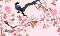 2023年3月8日妇女节适不适合装修房子 今天是装修吉日吗