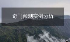 奇门预测实例分析