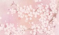 2023年3月15日可以装修新房吗 是装修吉日吗