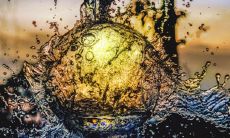 太阳化禄到底有多厉害 代表什么意思