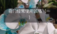 奇门经常使用凶格(一)