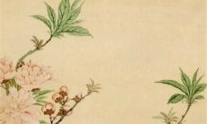 2023年2月14日情人节适合装修开工吗 是装修吉日吗