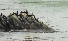 2023年阴历二月装修黄道吉日一览表 哪几天是好日子