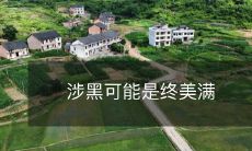 涉黑可能是终美满