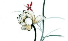 2023年2月9日适合装修吗 装修吉日是今天吗