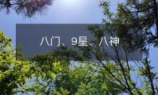 八门、9星、八神