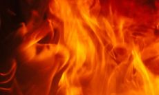 1986年炉中火命好不好 是享福命还是苦命