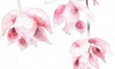 2023年2月13日适不适合装修房子 今天是装修吉日吗