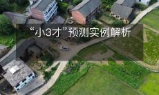 “小3才”预测实例解析