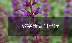 数字断奇门出行