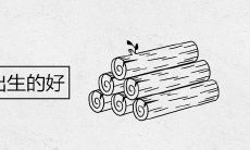 石榴木命几月出生的好 财运怎么样