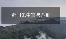 奇门论中宫与八卦